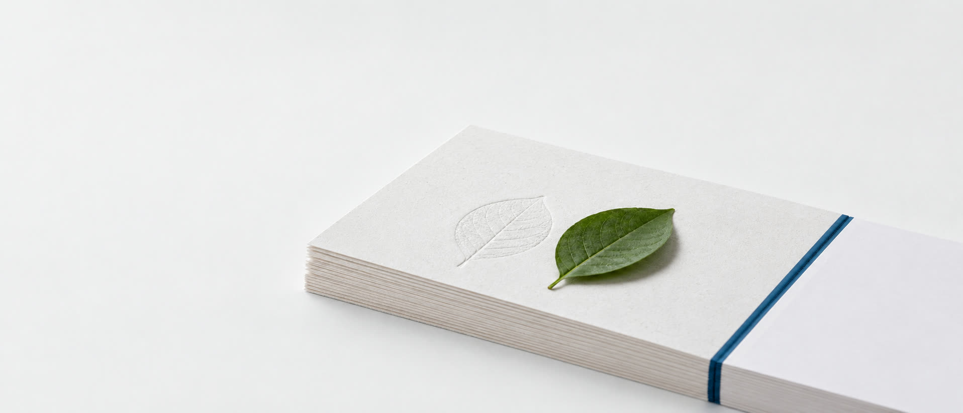 Stack of natural paper with a blind-embossed leaf, a freshly pressed green leaf and a petrol blue band